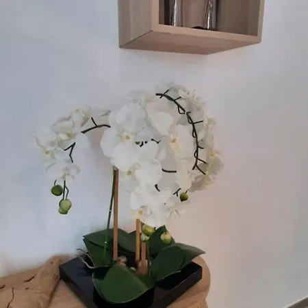 Chez Bigoudy * Penta di Casinca