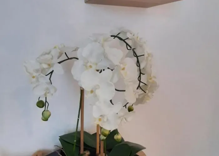 Chez Bigoudy * Penta di Casinca