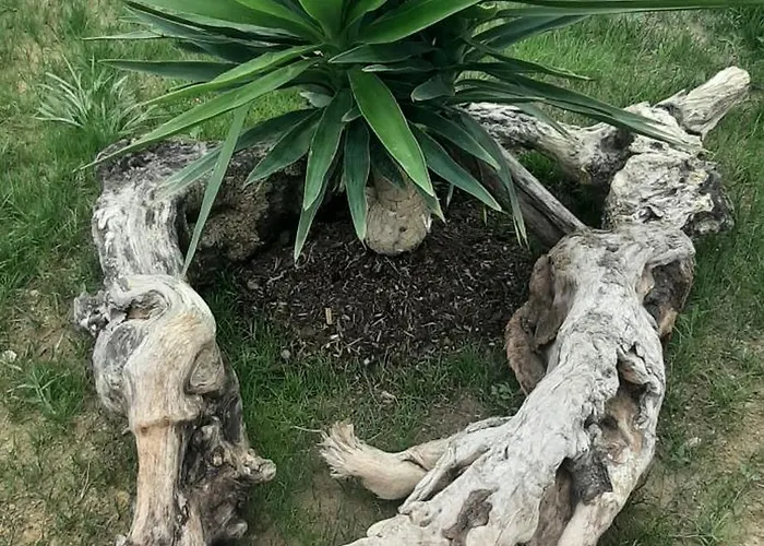 ベッド・アンド・ブレックファスト Chez Bigoudy *